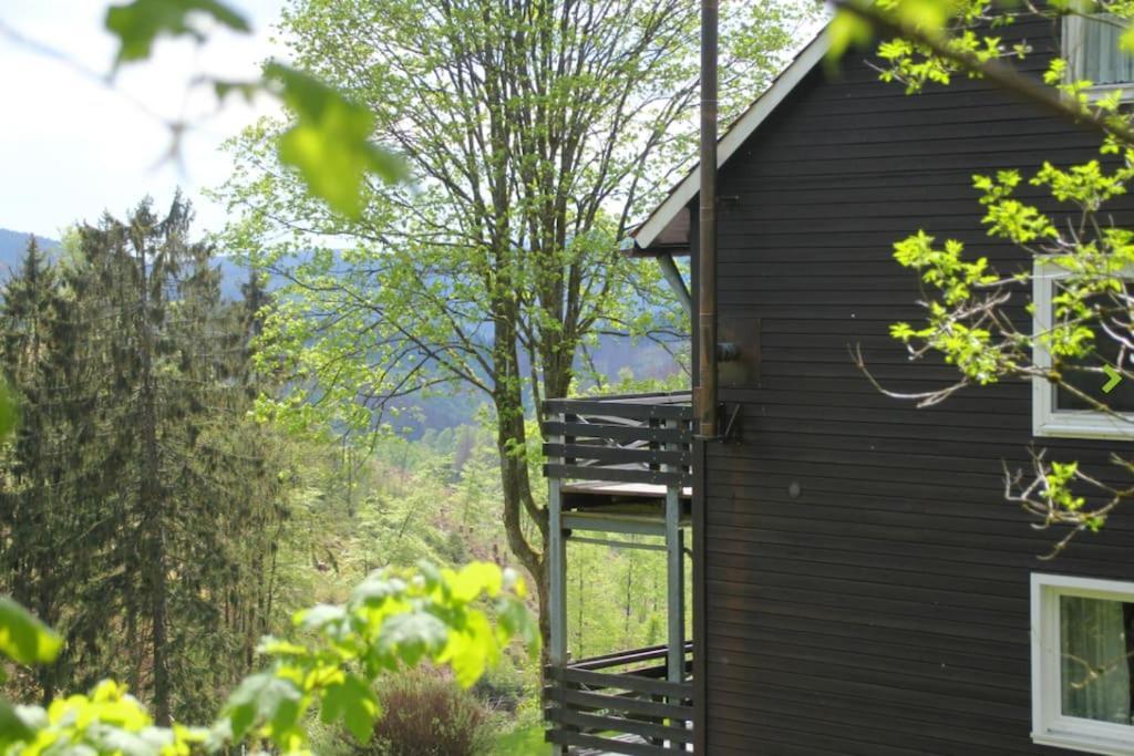 Fewo Nartura: Modern - Idyllisch - Stilvoll - Ruhig Sankt Andreasberg Exterior foto